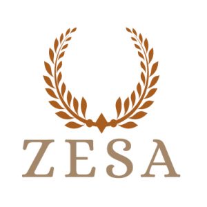 Web- und Digitalagentur ZESA aus Königstein 